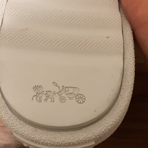 Coach NWOB Women’s Limited Edition Wildbeast Napa Brown/Mist Slip on Sneaker - Picture 7 of 8